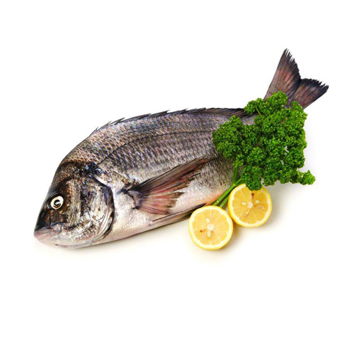 鯛魚(yú)