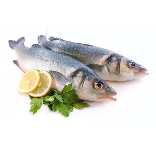 鱸魚(yú)