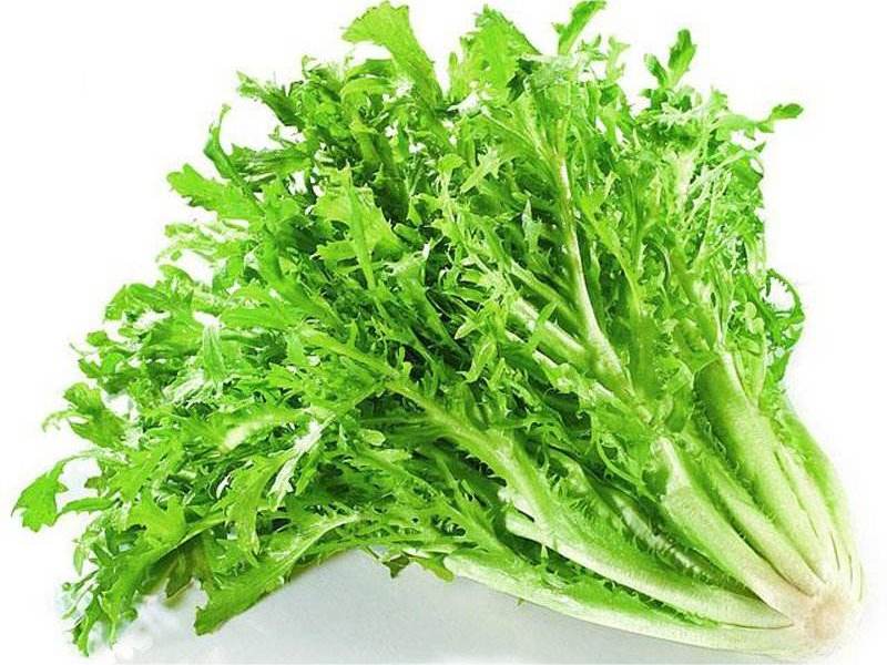 食材配送從生產(chǎn)、采摘再到蔬菜配送無縫銜接
